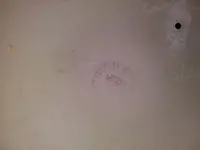 0609182200a.webp