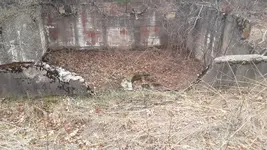 20180506_102638.webp