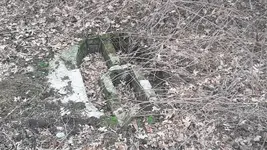 20180506_102622.webp