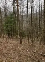 20180414_172211.webp