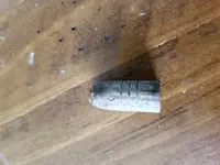 20180517_164627.webp