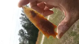 20180415_132433.webp