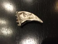 silver.webp