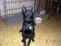 DSCN2469.webp