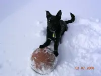 DSCN2435.webp