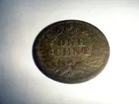indian back.webp