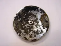 back silver.webp
