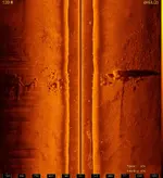 cool image3.webp