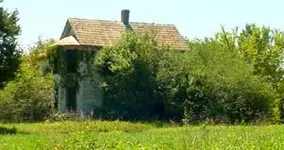 baskerville06 Aspen Lawn.webp