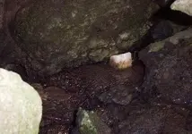 spring grotto 2.webp