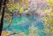 BeautifulWater.webp