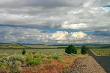 desert 6 - 29 - 7 049_RT8_2.webp
