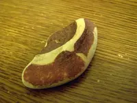 pot shards 005.webp