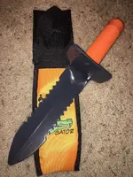 Gator1rotcrop.webp