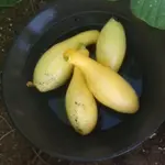 20180516_061332.webp