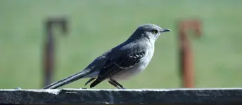 K1600_018.webp
