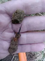 metal-detecting-whites-spectra-v3i-8.webp metal-detecting-whites-spectra-v3i-8.webp