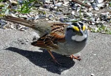 K1600_006_InPixio.webp K1600_006_InPixio.webp