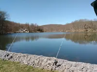 metal-detecting-whites-spectra-v3i-lake-1.webp