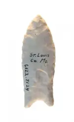 st louis missouri.webp
