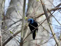 K1600_010.webp K1600_010.webp