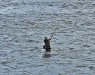 K1600_009.webp