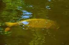 K1600_014.webp