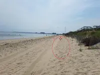 20180609_102410.webp