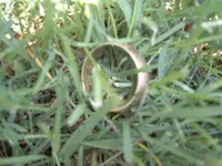 equinox 800 002.webp