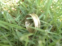 equinox 800 005.webp