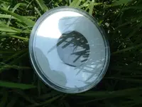 equinox 800 018.webp