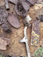 20180524_163238.webp