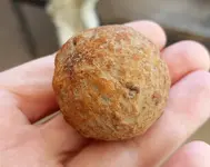 20180422_104918[6360].webp