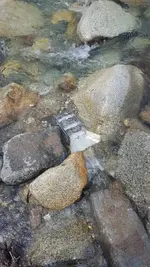 20180505_132531.webp