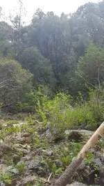 20180505_132458.webp