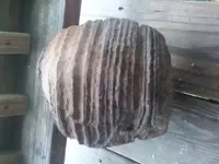 20180517_195154.webp