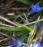 RFroYau4-23-18CloseDeck.webp
