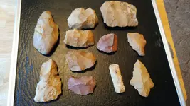 field finds.webp