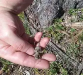 20180427_161152.webp