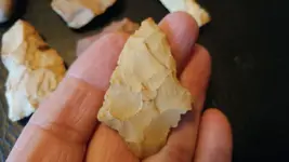 field finds1.webp