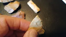 field finds2.webp