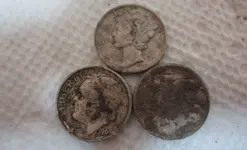 Finds 4-30-18 023.webp