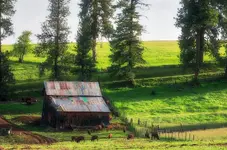 sharpenedsoft.webp