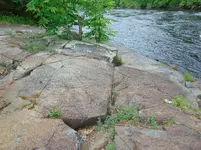 DSC00016.webp