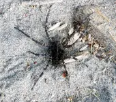 K1600_012.webp