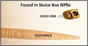 gold huntt.webp