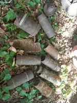 20170624_181107.webp