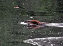 K1600_013.webp
