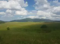 20170630_151502.webp
