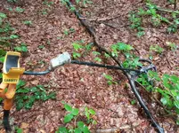 20170618_164238.webp